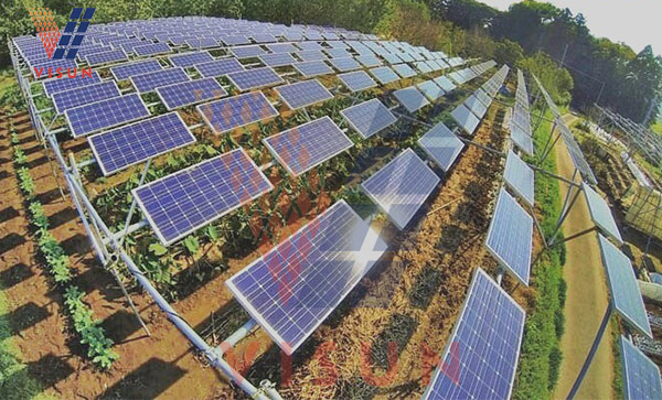 Dự án điện mặt trời nông nghiệp