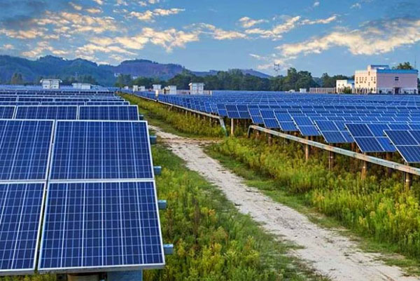 Giải pháp điện mặt trời cho nông nghiệp